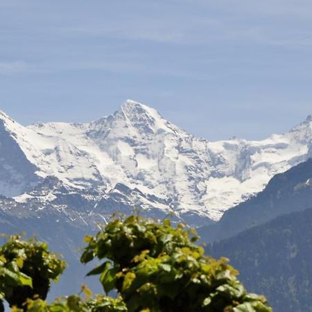 Hotel Schonegg Jungfrau 외부 사진